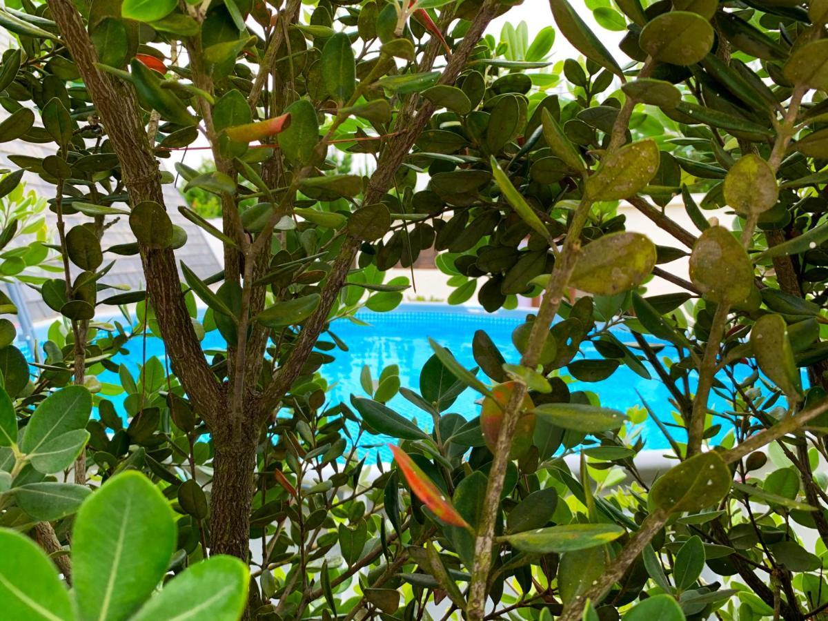 伊斯莫里兹Beachliving Cabana别墅 外观 照片